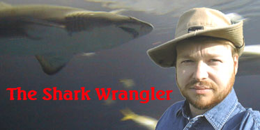 Shark Wrangler's Home Page